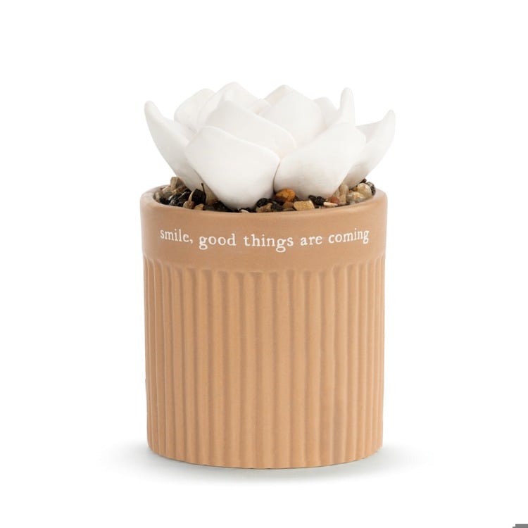 Succulent Oil Diffuser - Smile